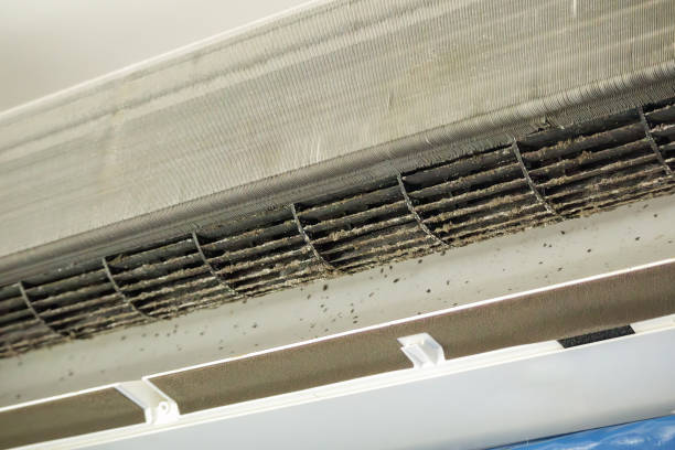 Best Air Duct Cleaning Near Me  in Chadron, NE